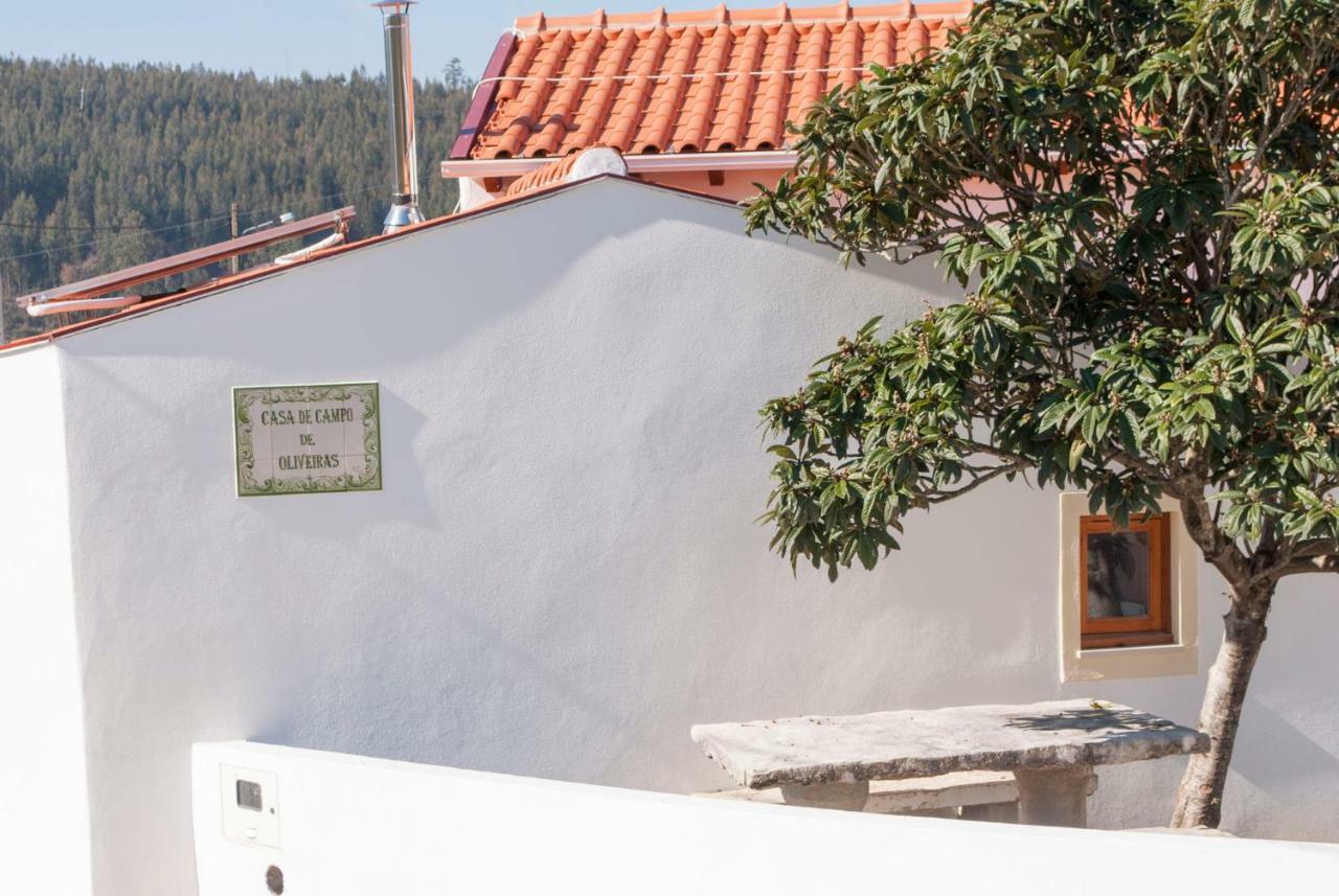 Casa De Campo De Oliveiras Penela Exterior foto